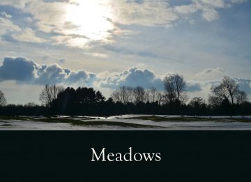 Meadows album cover